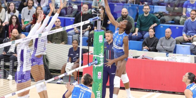 Volleyball players in action during a Serie A1 match